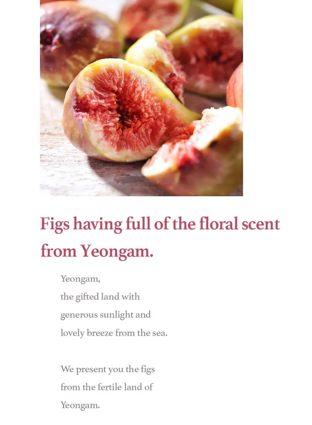 Fig Scrub Mask (120g)