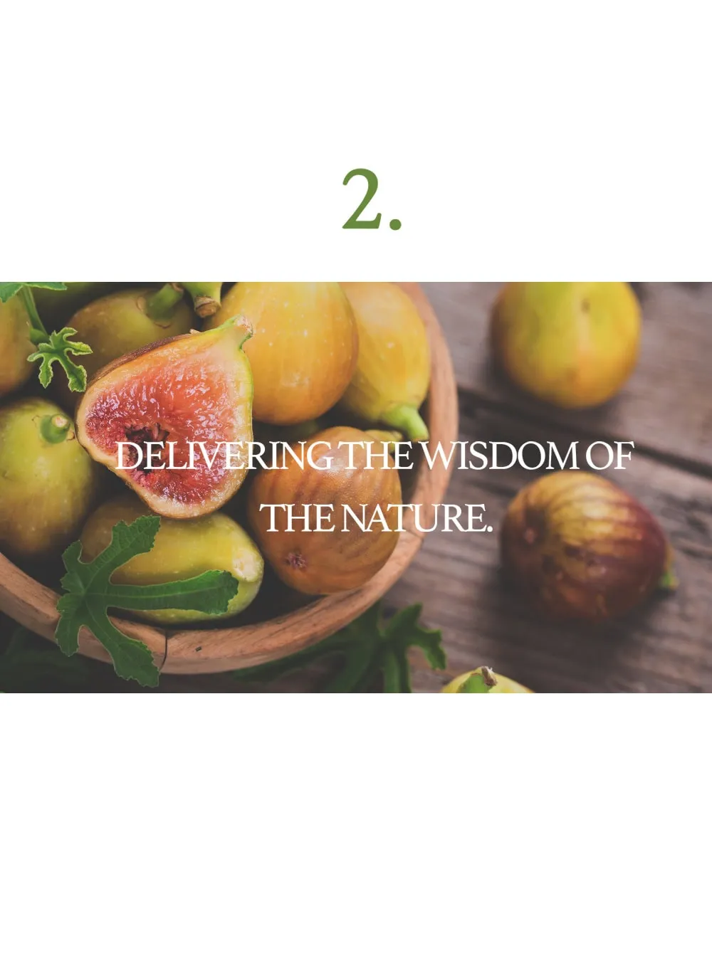 Fig Scrub Mask (120g)