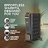 Havells 11 Fin Hestio GHROFCKK290 Wave Fin OFR | 2900 Watt, Thermostatic heat control with 3 power settings & PTC fan control | Superior grade oil for long-lasting heat | (Black)