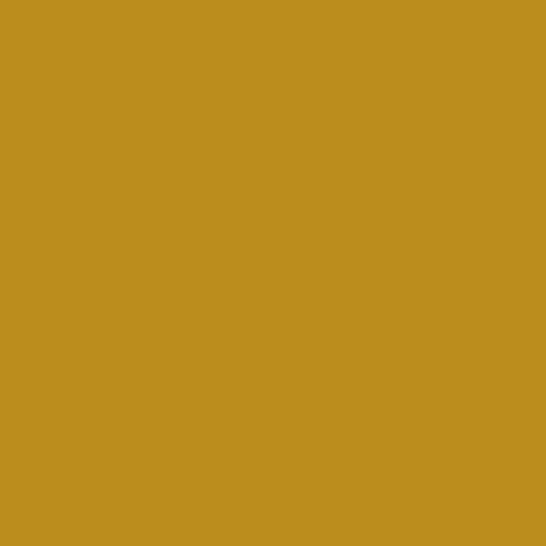 Mustard | Deep CS Swim Brief