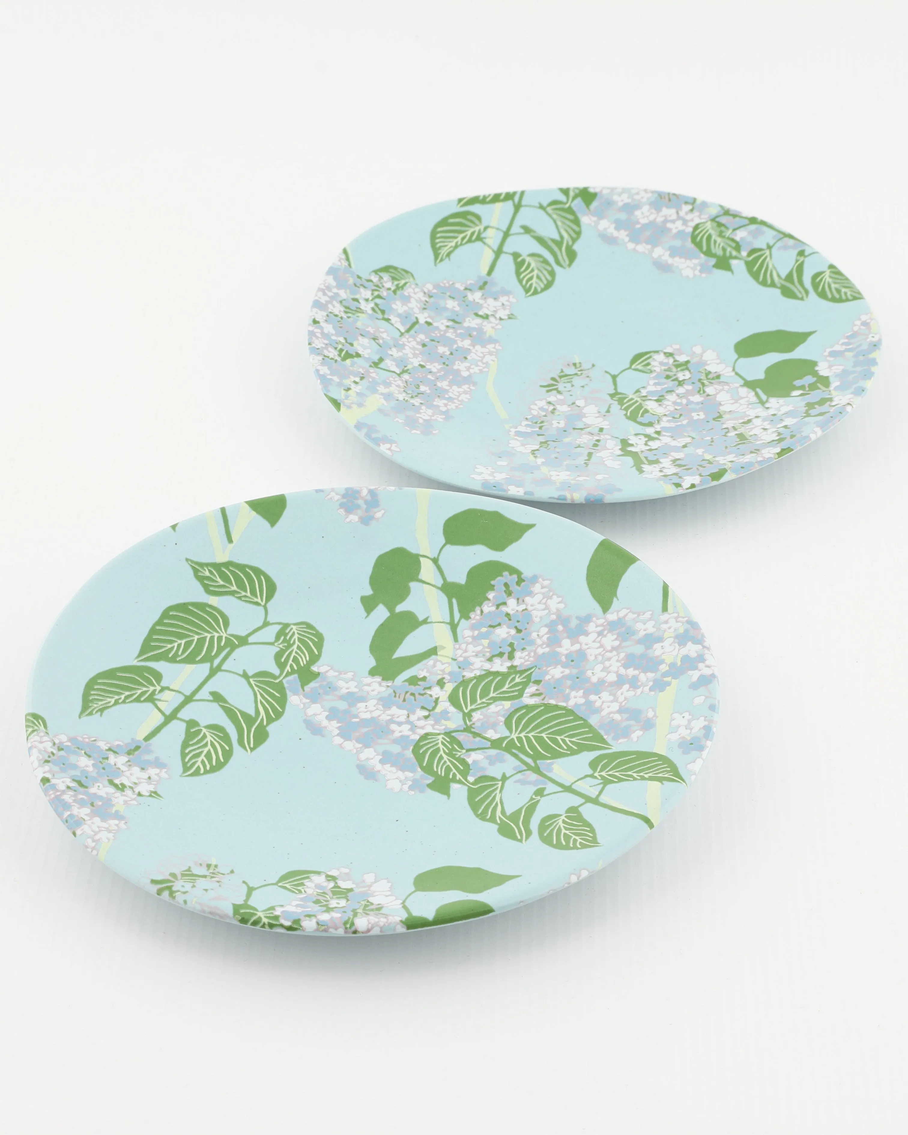 Set of 2 Side Plates