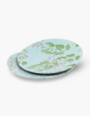 Set of 2 Side Plates